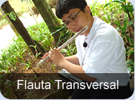 Curso Flauta Transversal